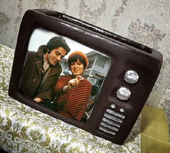 Retro Televizyon Tasarımlı Dekoratif Saksı