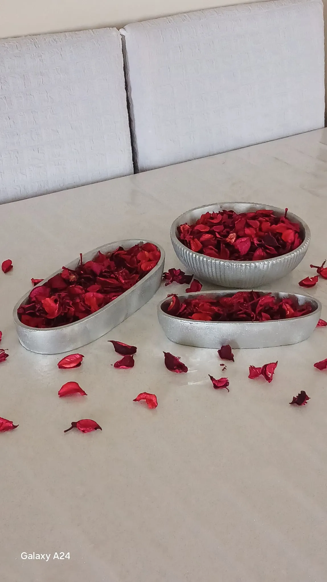 3’lü Salon Dekor Seti Gümüş Renkli Şık Saksı Takımı Çiçek Dahil