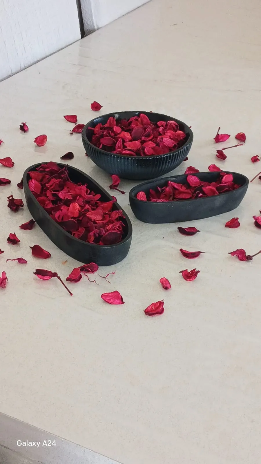 3’lü Salon Dekor Seti Siyah Modern Saksı Takımı Çiçek Dahil