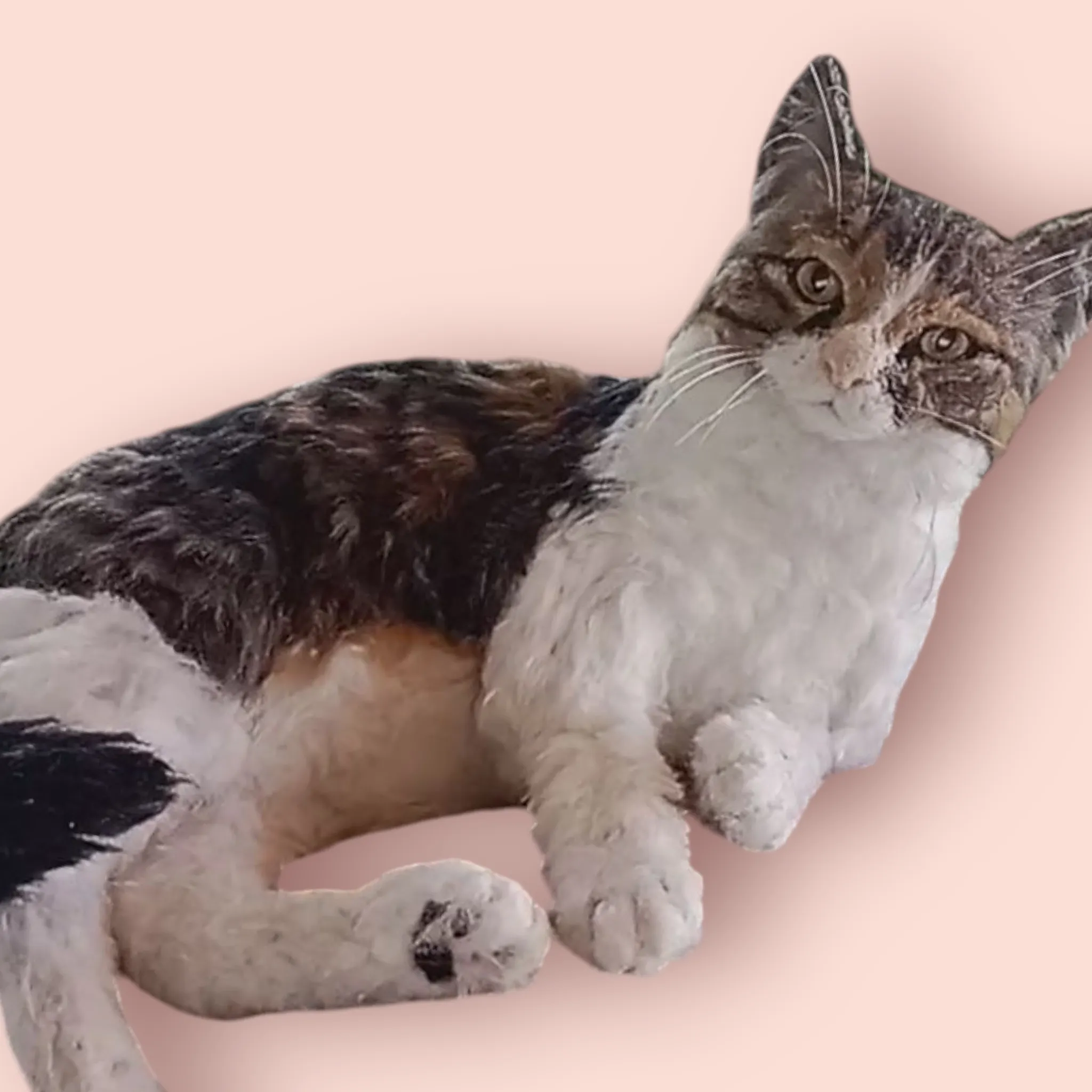 Gerçek Boyutlu Keçeyününden Büyük Kedi – Epoksi Gözlü El Yapımı Dekoratif Figür