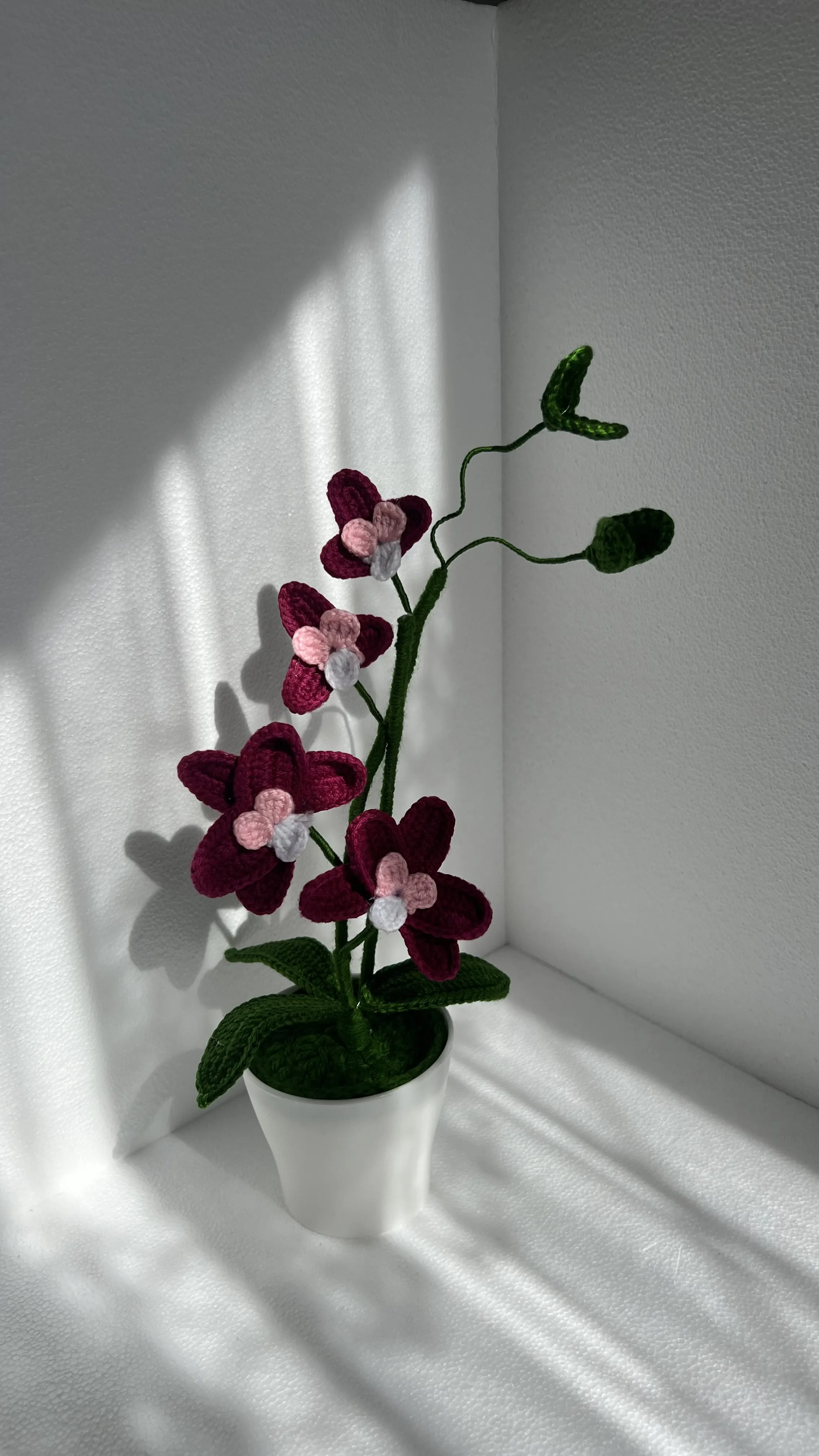 Fuşya ve Pembe Tonlarında Örgü Orkide Çiçeği Saksıda Dekoratif
Output: Knitted Orchid Flower in Fuchsia and Pink Tones Decorative in Pot