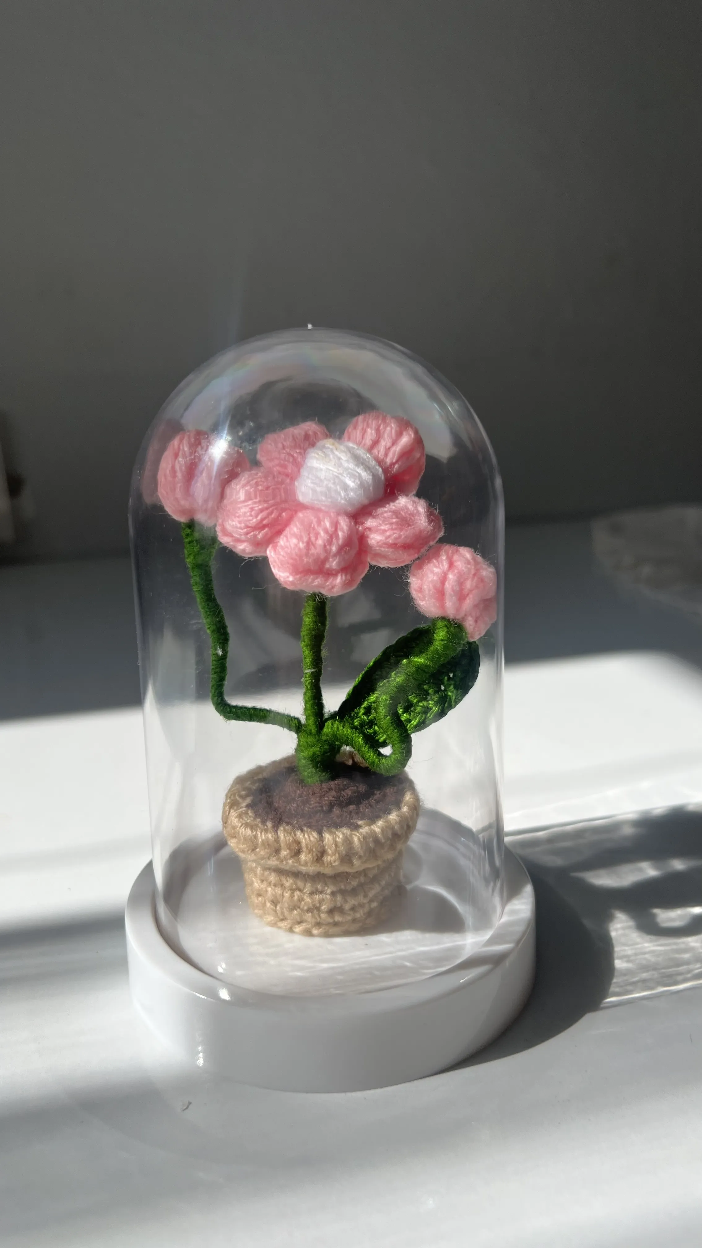 Cam Fanus İçinde Pembe Örgü Papatya - Dekoratif El Emeği Hediye