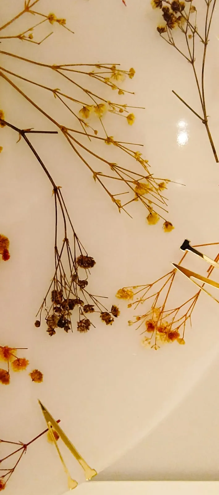 Dried Flower Detailed Transparent Epoxy Wall Clock - 38 cm, Gold Numerals