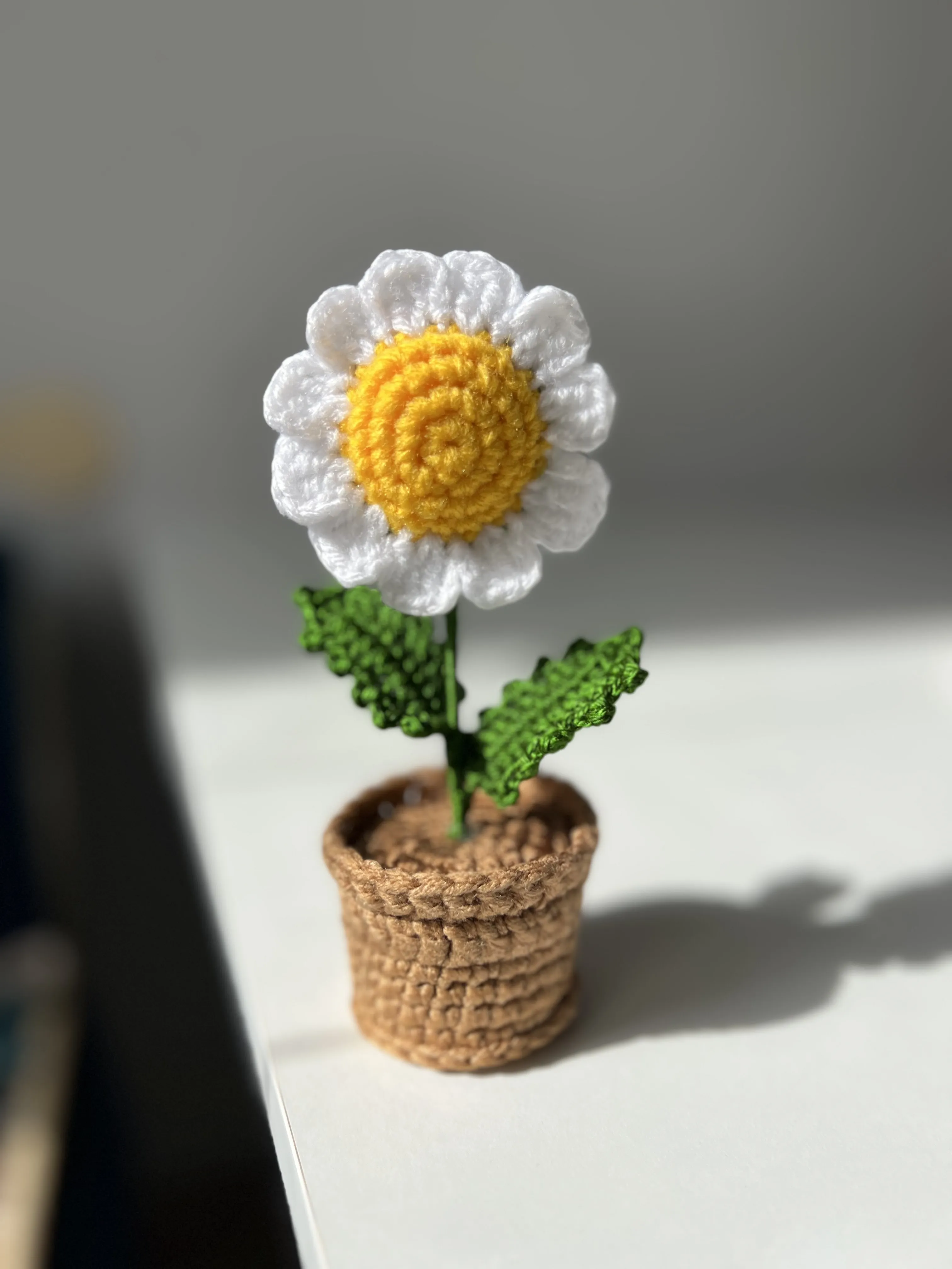 White Daisy in Knitted Pot - Decorative Handmade Gift
