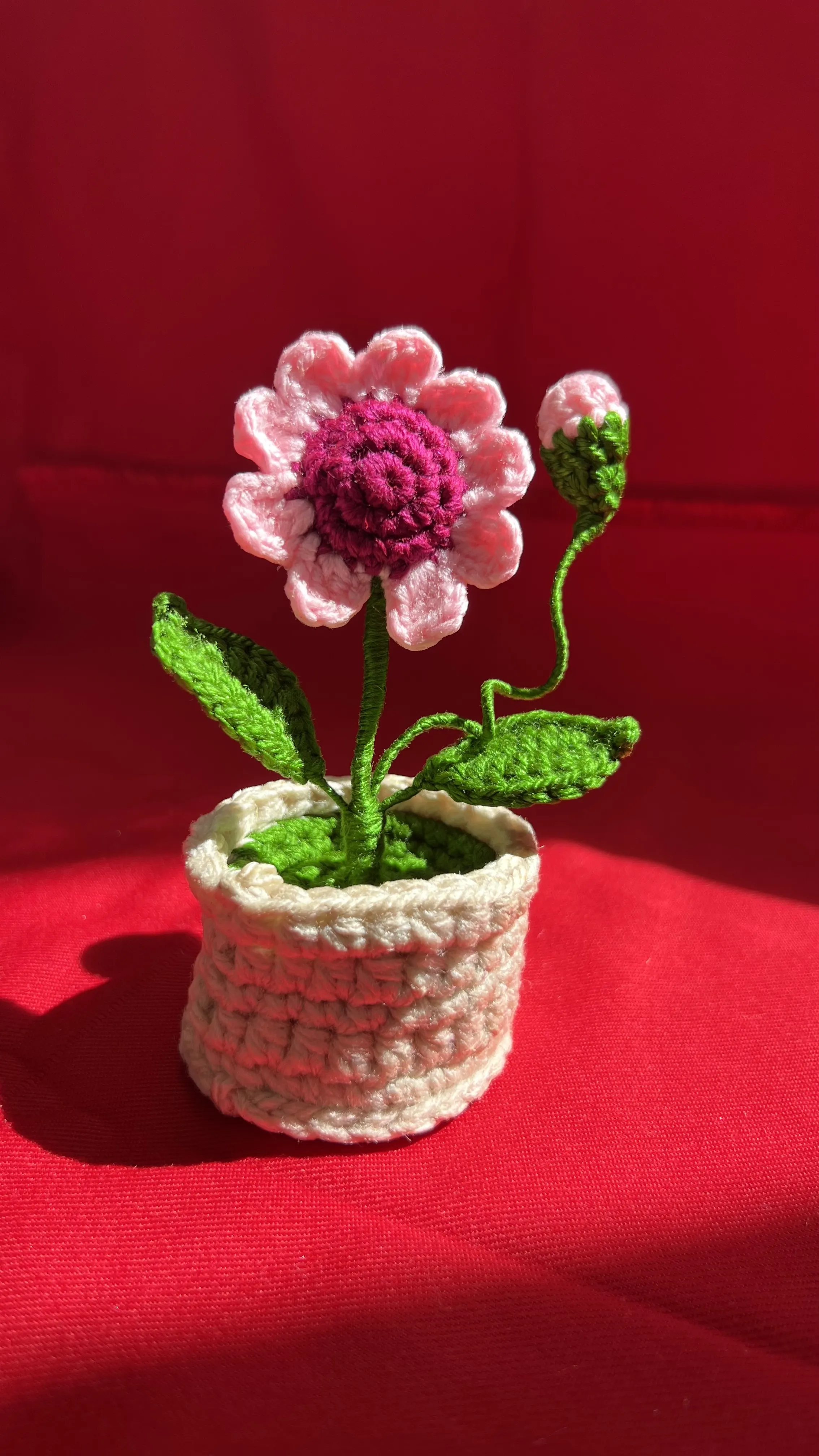 Pembe Papatya Motifli Örgü Saksı Çiçeği Dekoratif Hediyelik - El Emeği