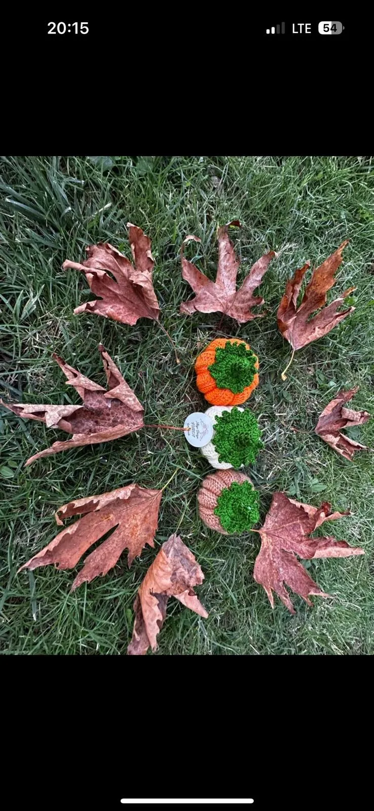 El Örgüsü Bal Kabağı Dekorları – Sonbahar Sıcaklığını Evinize Taşıyın