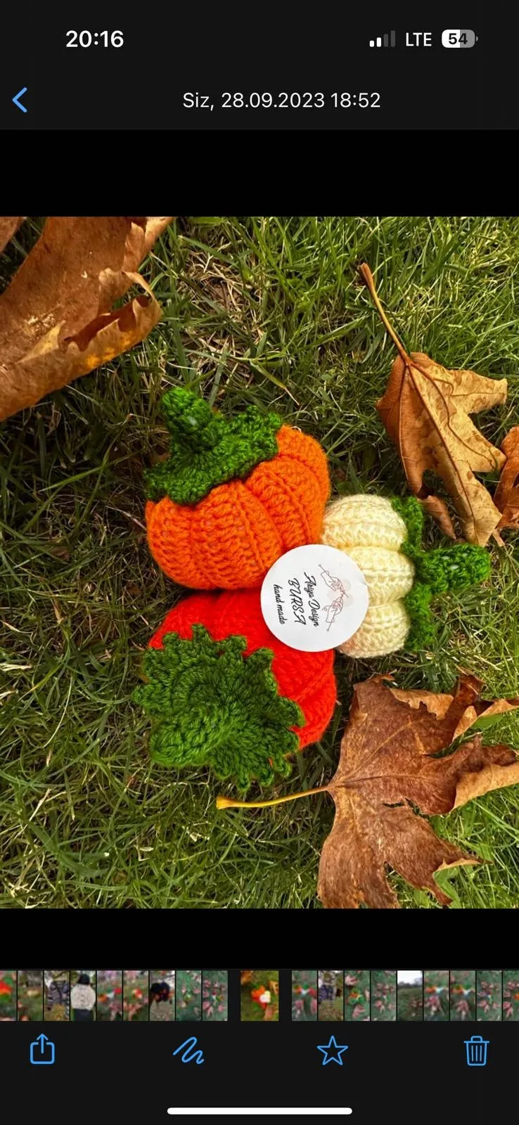 El Örgüsü Bal Kabağı Dekorları – Sonbahar Sıcaklığını Evinize Taşıyın