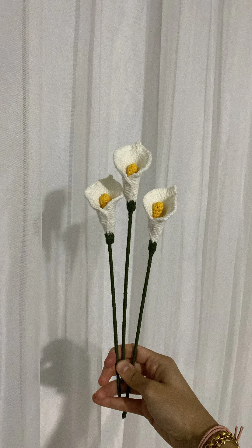 El Örgüsü Gala Çiçeği