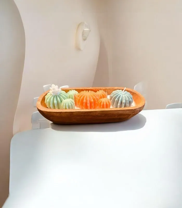 Çöl Çiçekleri Soyawax Doğal Mum - Akasya Kase İçinde Kaktüs Figürlü