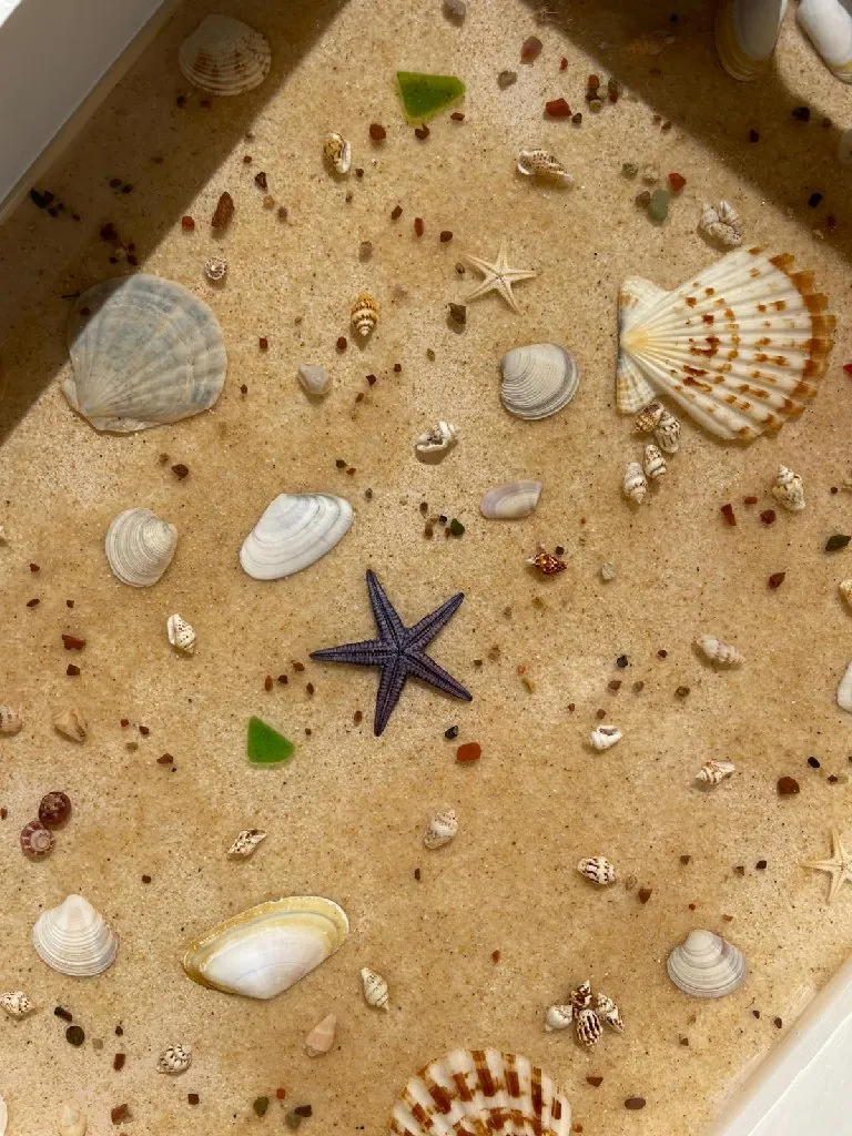 Ahşap Epoksi Tepsi - Gerçek Deniz Kabuklu ve Deniz Yıldızlı 35x25 cm