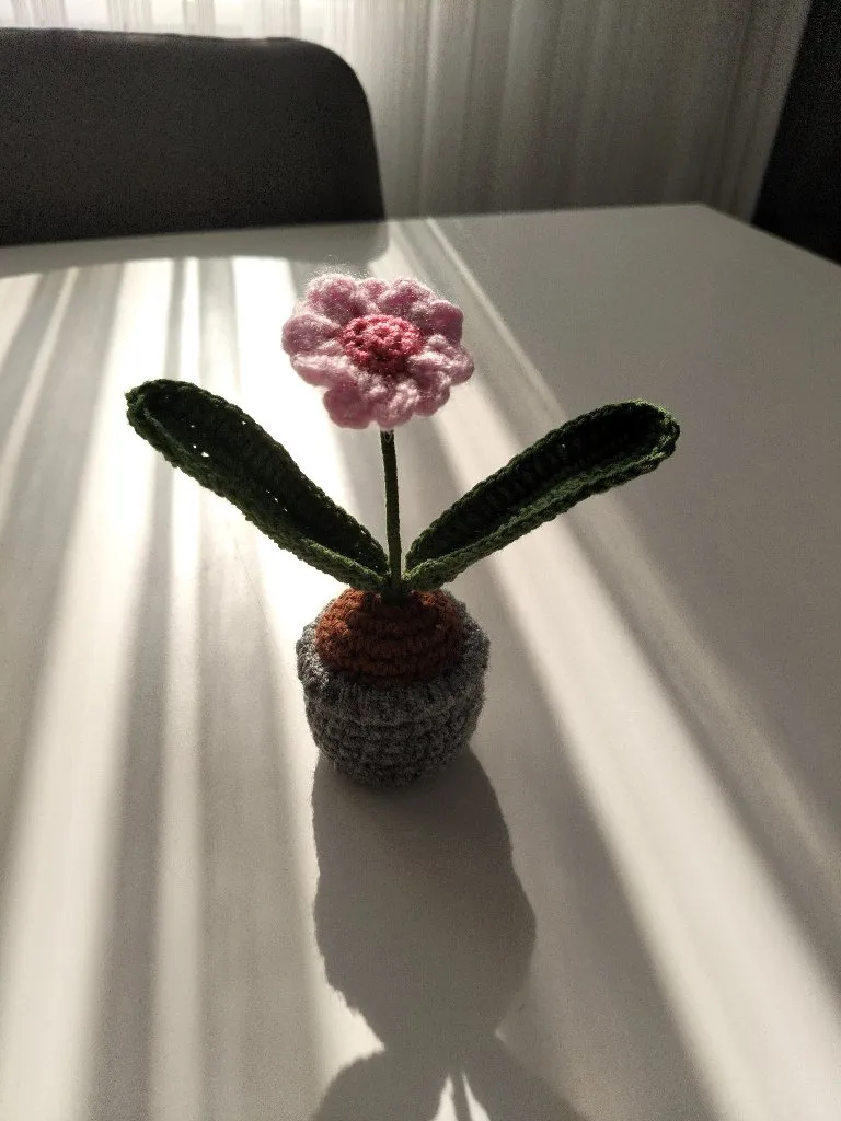 Örgü Saksıda Papatya Çiçeği - Solmayan Dekoratif Pamuk İplik