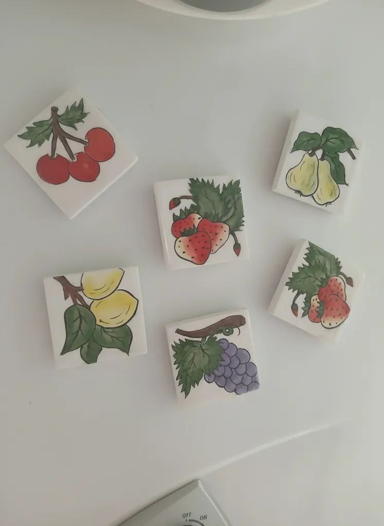 Yaz Meyveleri Desenli Magnet – Renkli ve Ferahlatıcı Buzdolabı Magneti