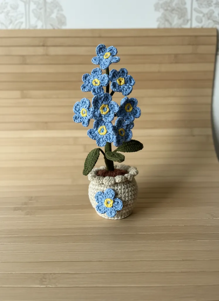 Örgü taş rengi saksıda deniz mavisi beni unutma çiçeği