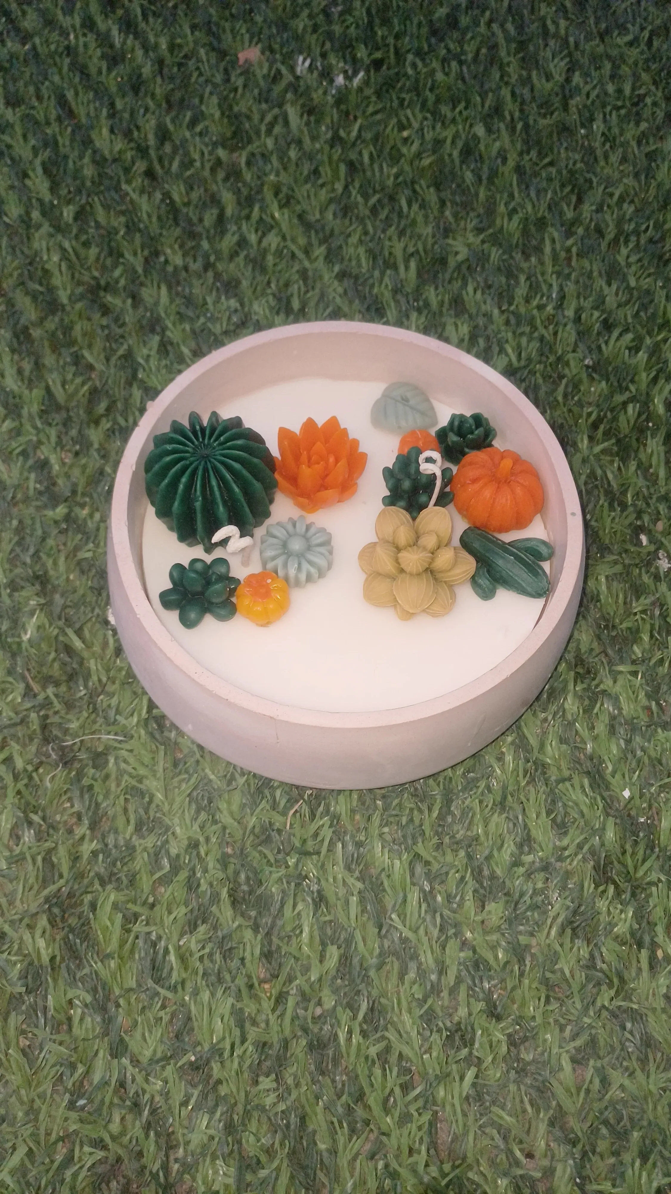 Dekoratif Mum Sukulent ve Kabak Tasarımlı Sonbahar Koleksiyonu No:3