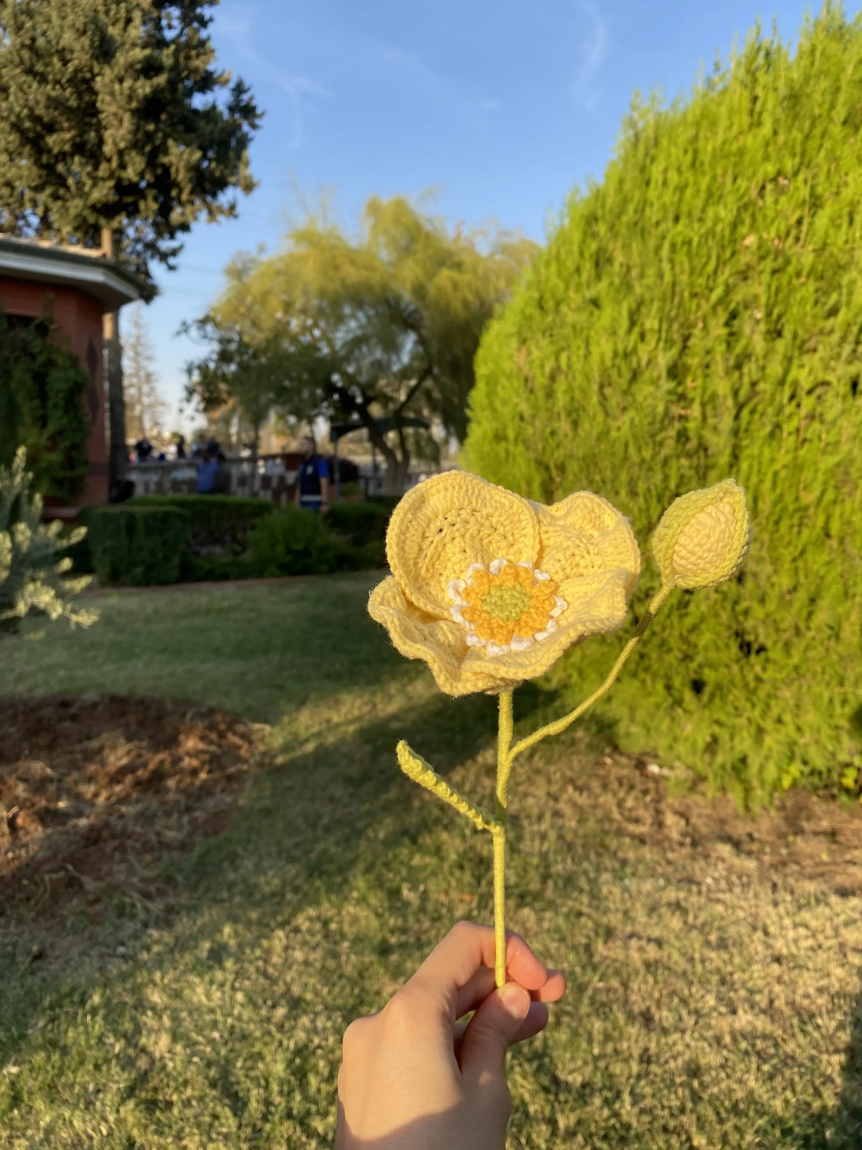 Sarı Gelincik Çiçeği - Örgü Dekoratif Çiçek - El Emeği