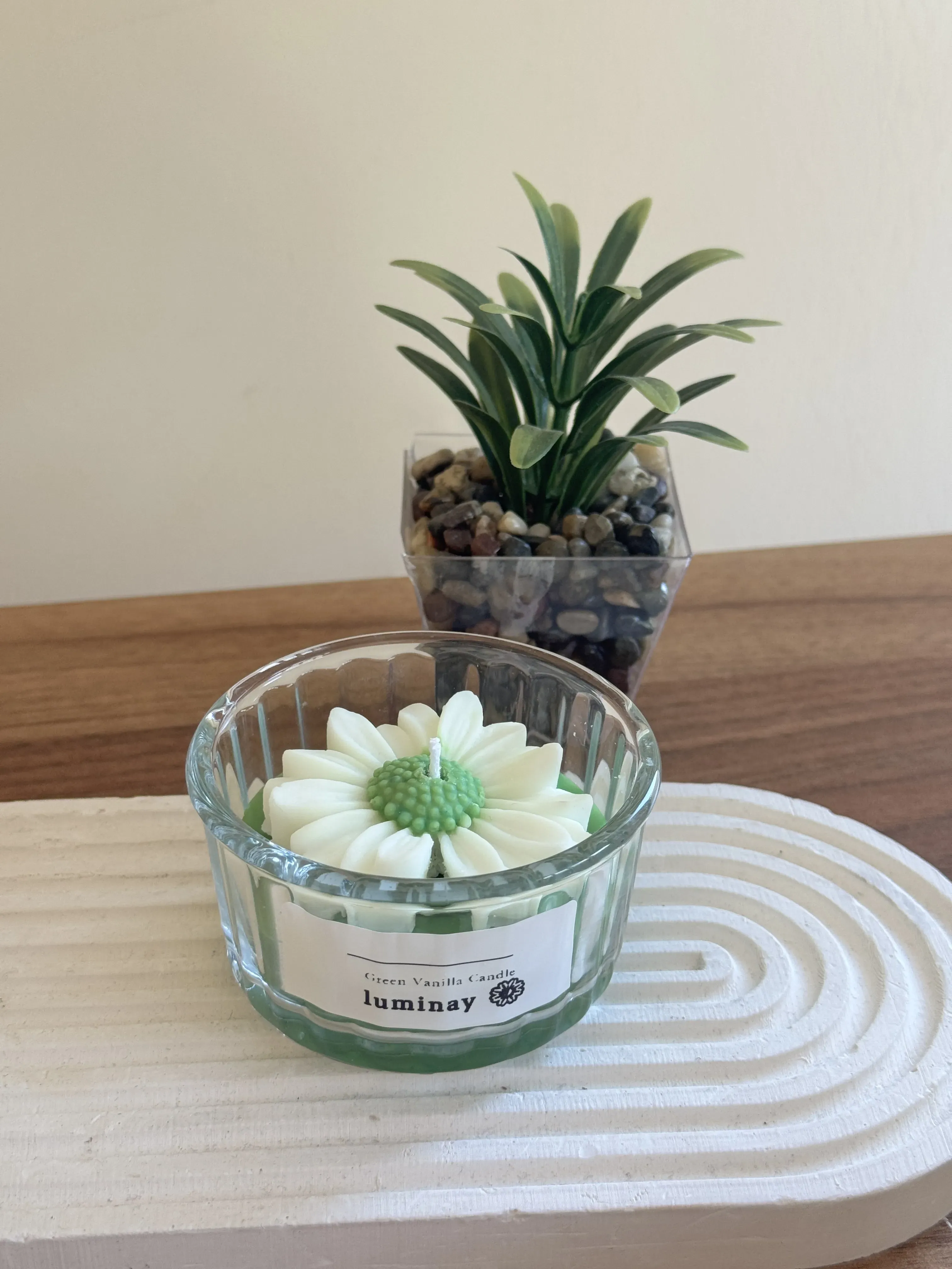 Papatya Tasarımlı Soya Mum - Kasede Yeşil ve Beyaz Renk