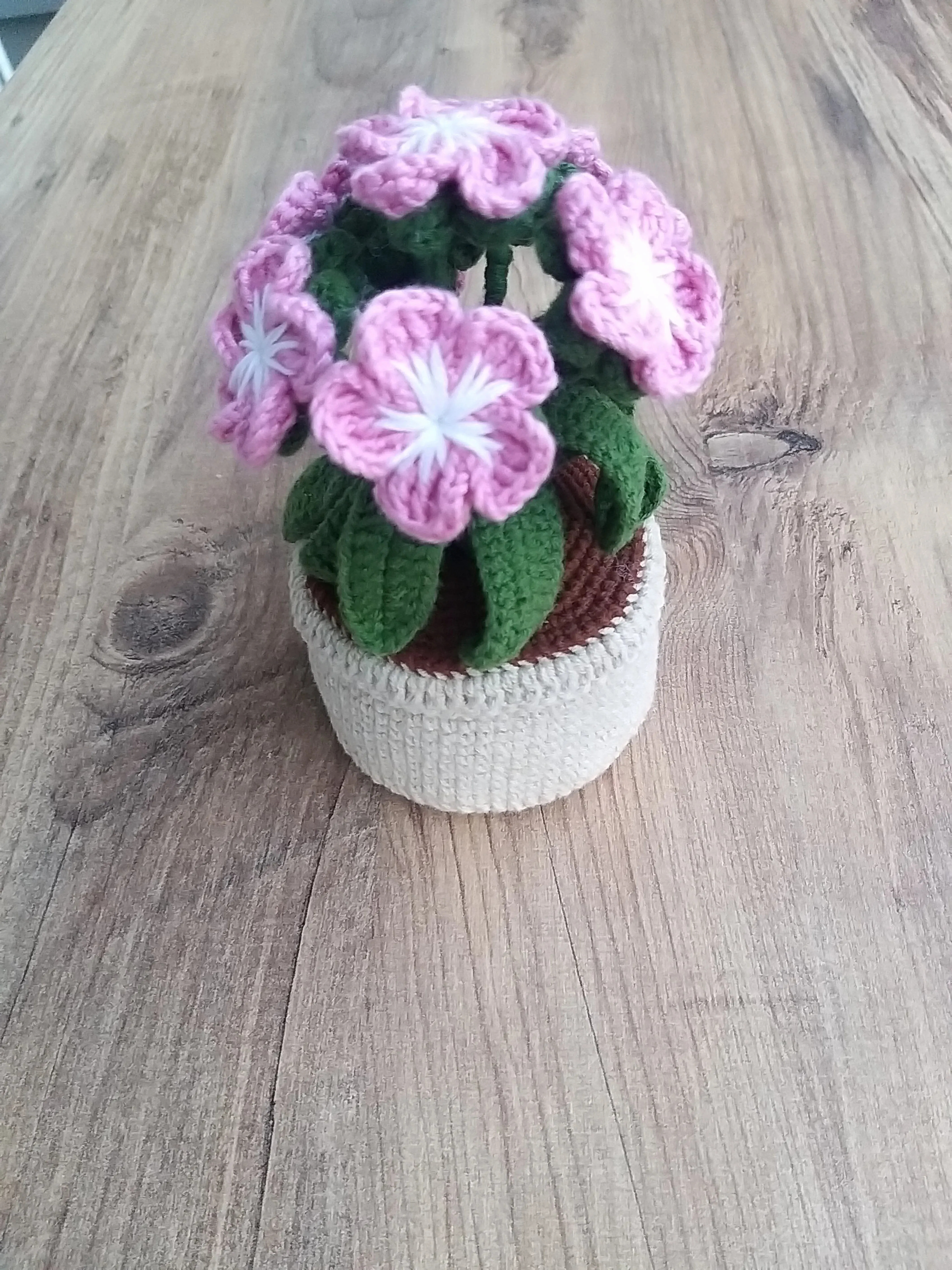 Pembe Çiçekli Örgü Saksı - Öğretmenler Günü Hediyesi - El Emeği