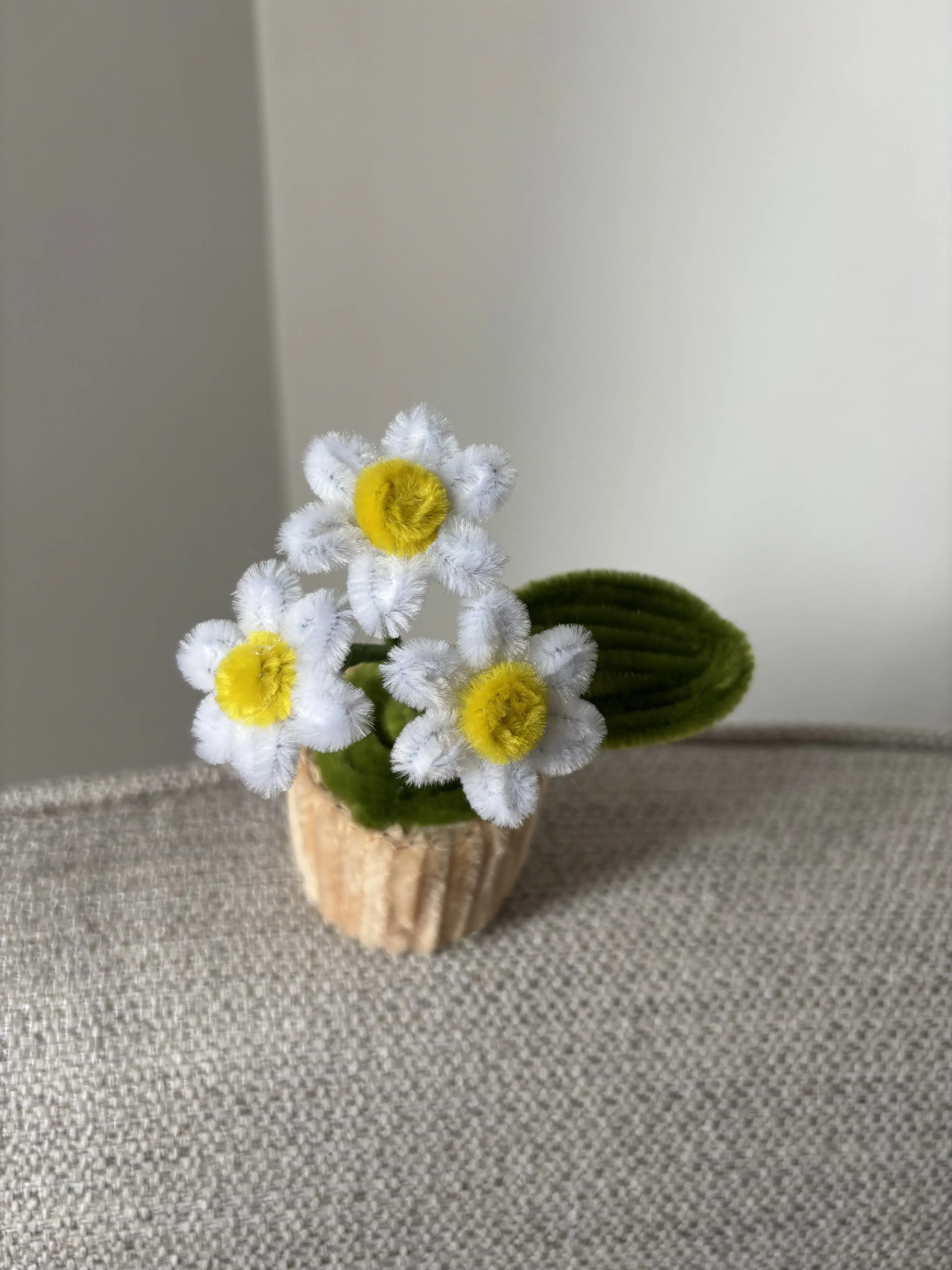 Şönil İpliği Beyaz Papatya Demeti - Mini Klasik Saksıda El Yapımı