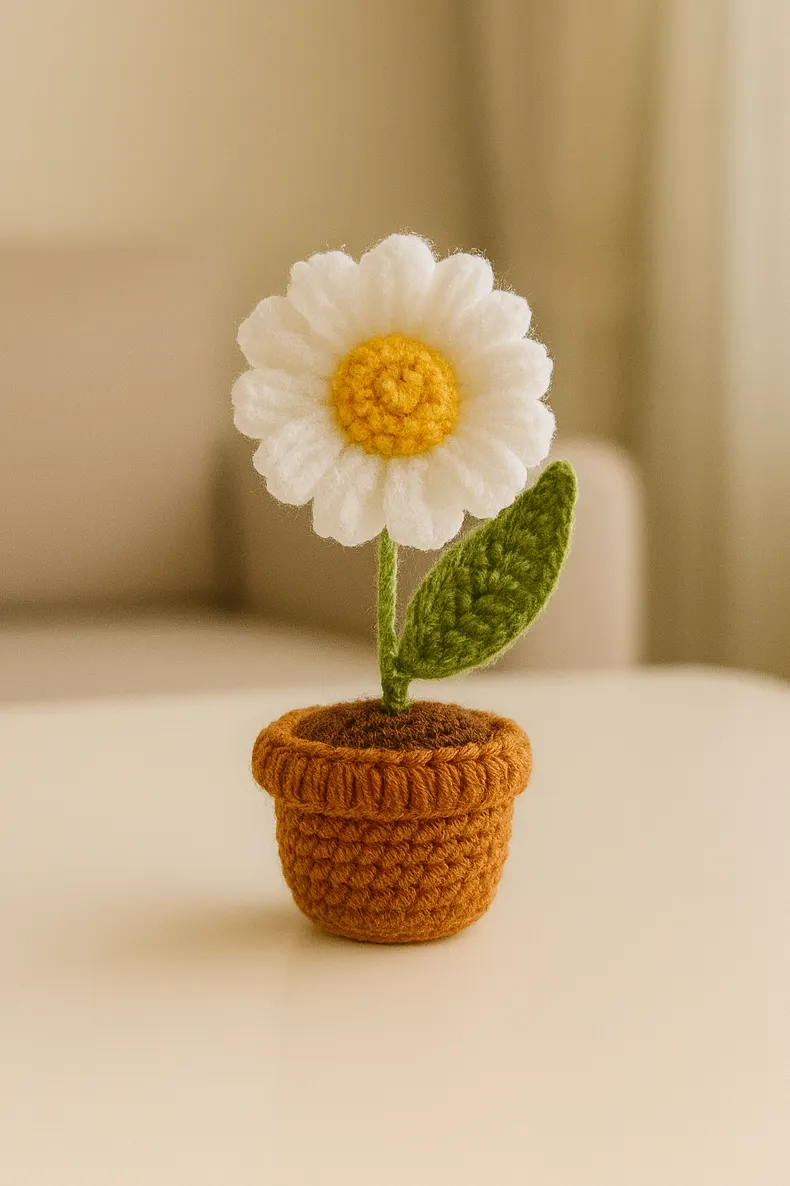 Single Daisy Potted Flower