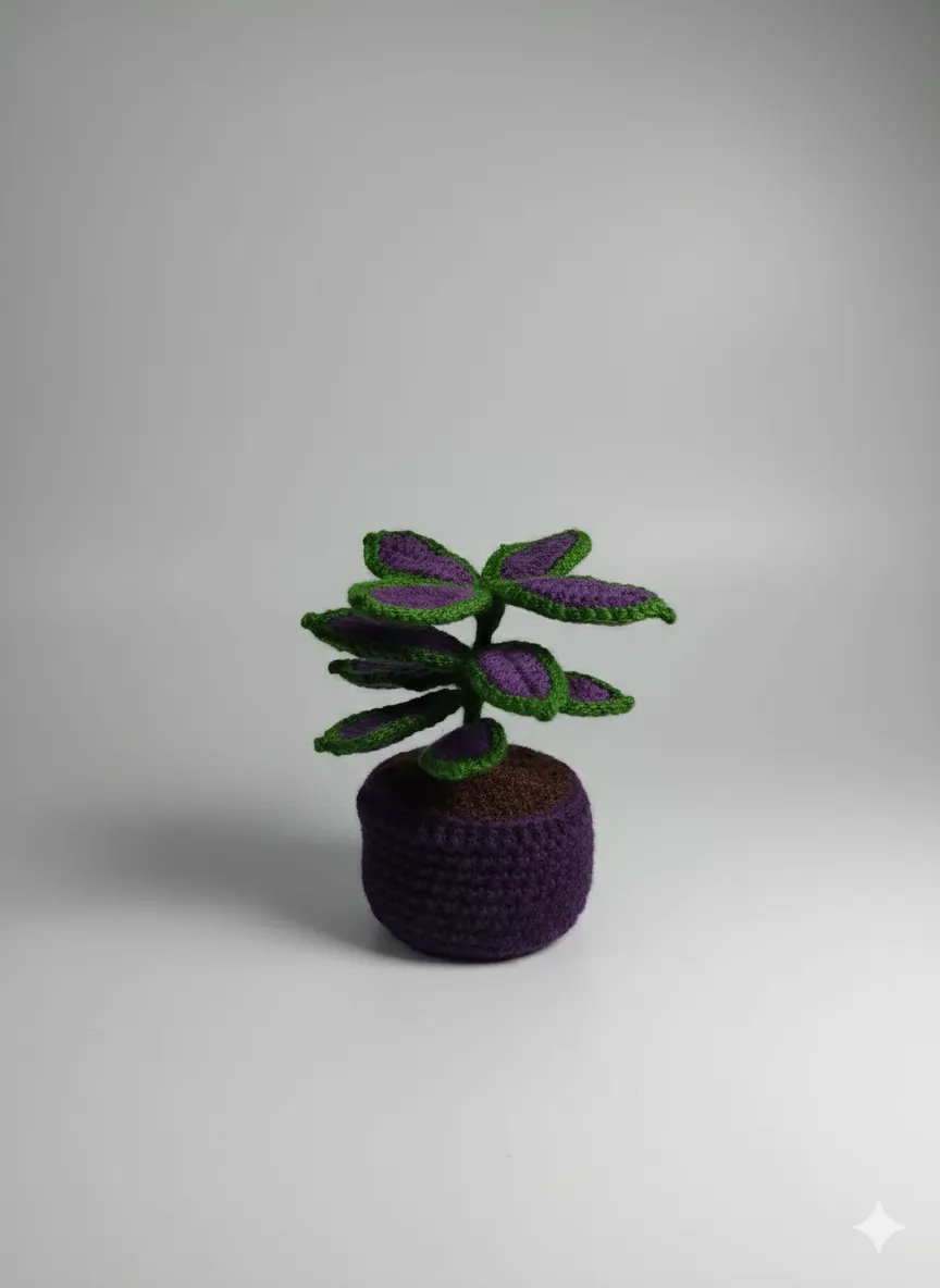 El Örgüsü Dekoratif Saksı Bitkisi